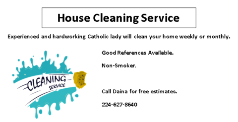 House cleaning Business card- Diana 224-627-8640