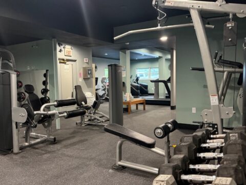 Gym Image: dumbbells, leg press, lat bar