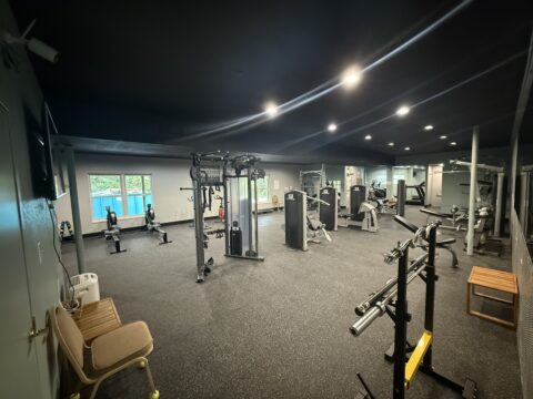 Gym Image: weight bars, row machines